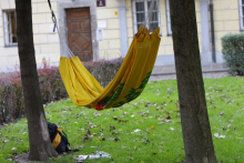 Hängematte im öffentlichen Raum
