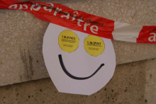 Steikgesicht bei maiz 